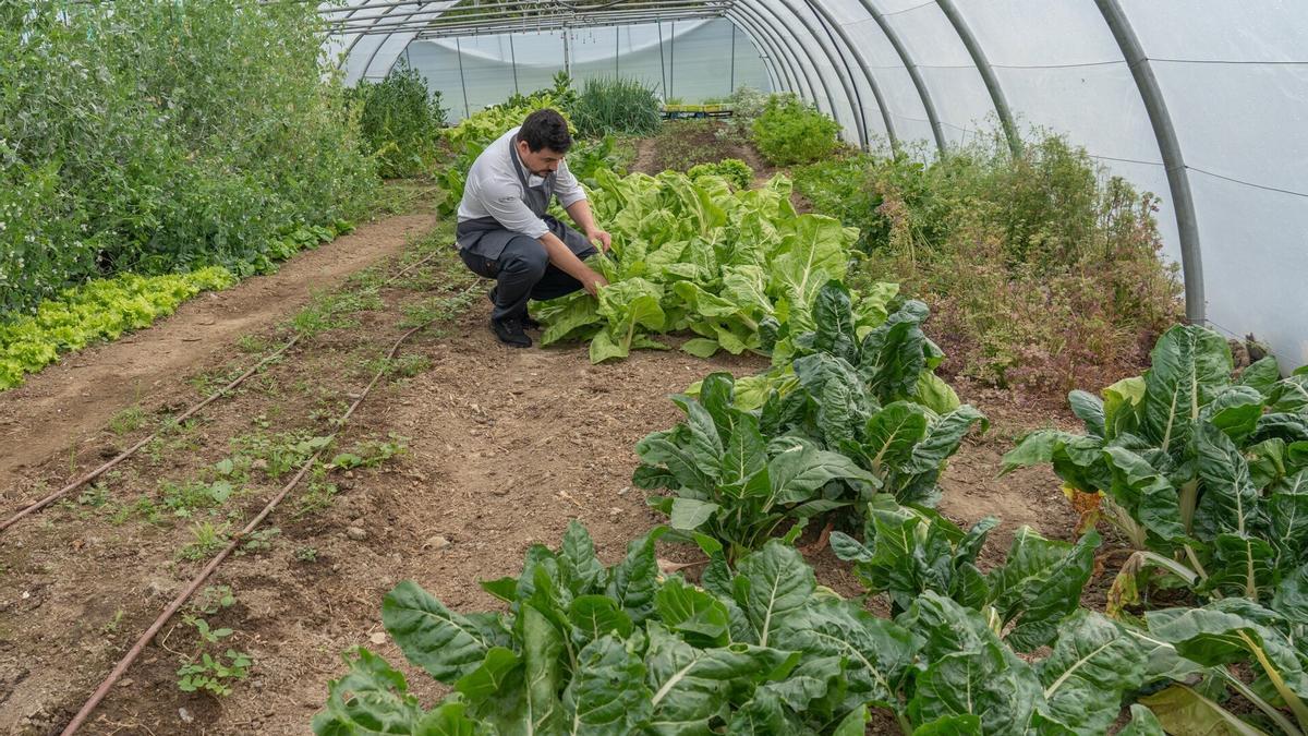 Trabajando en la huerta del Basque Culinary Center