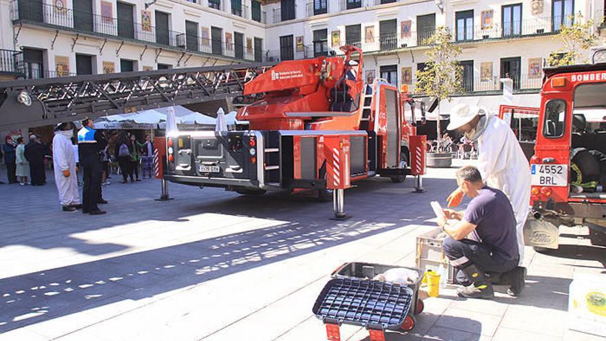 Bomberos retiran panales de abejas en Tudela.