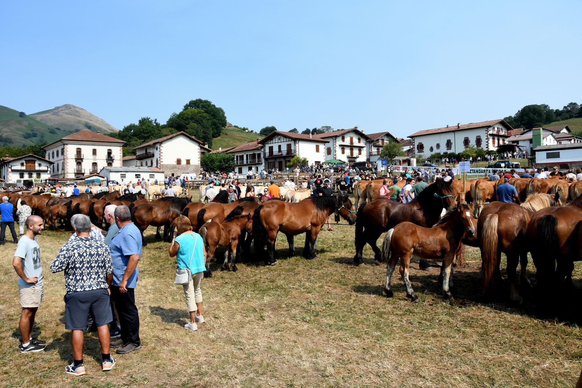 Artzai Eguna en Amaiur