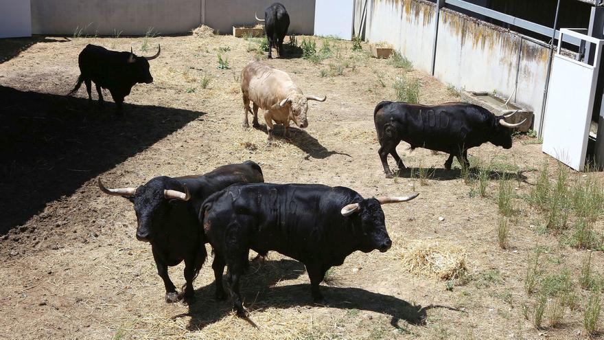 Gallardo, su ‘agur’ pamplonés