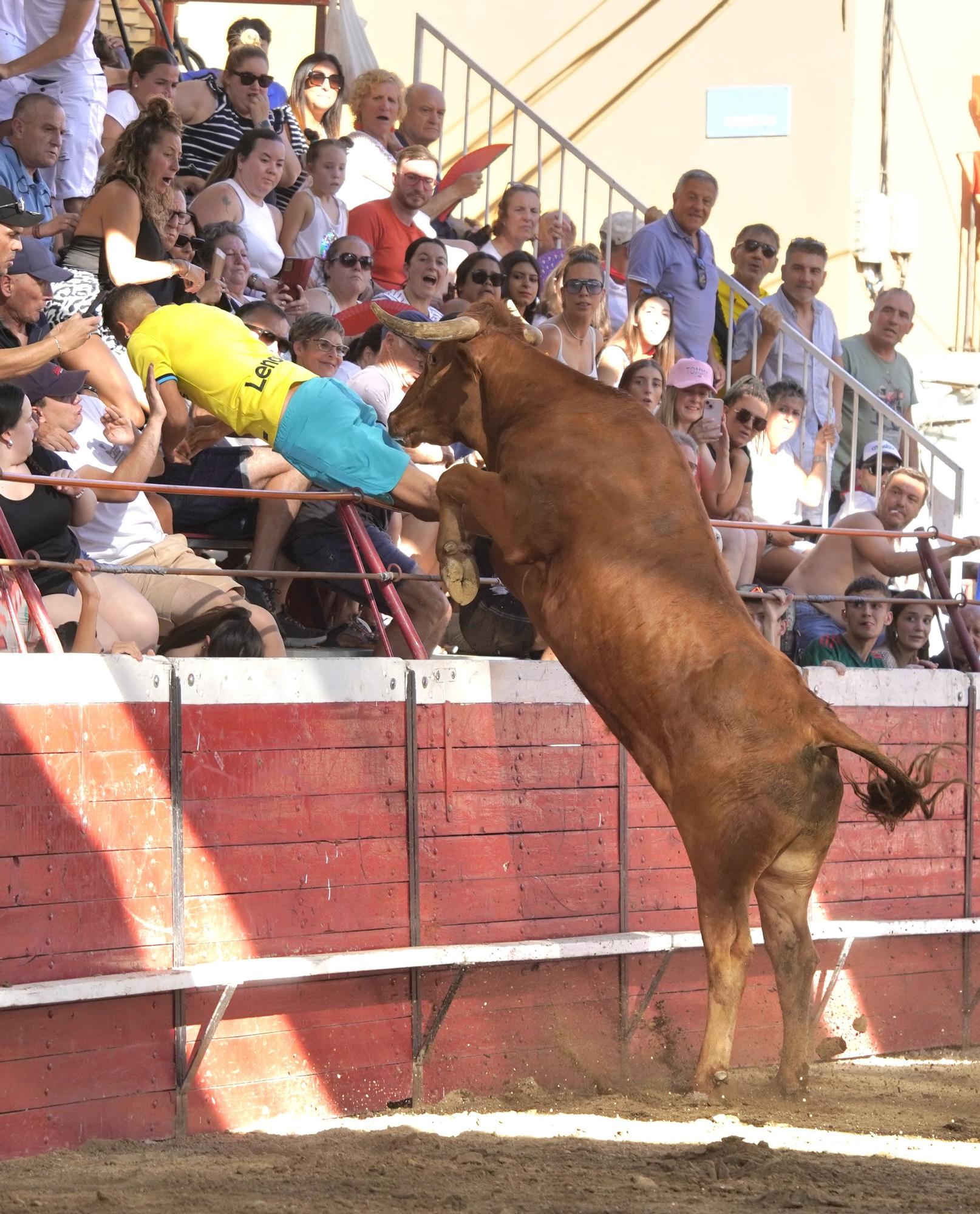 Así ha sido el salto de un toro a la grada en Cadreita