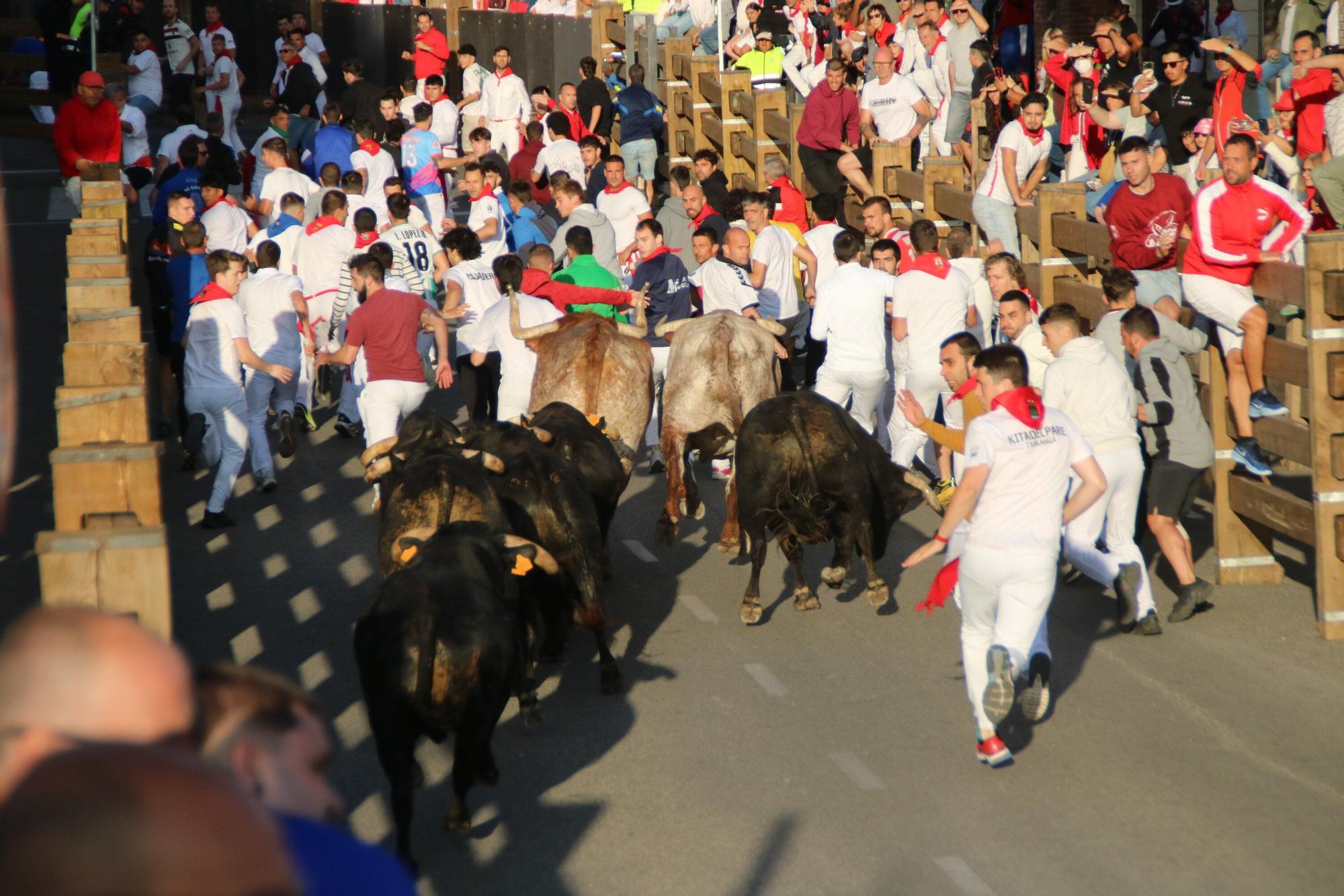 Fotos del tercer encierro de las fiestas de Tudela 2025