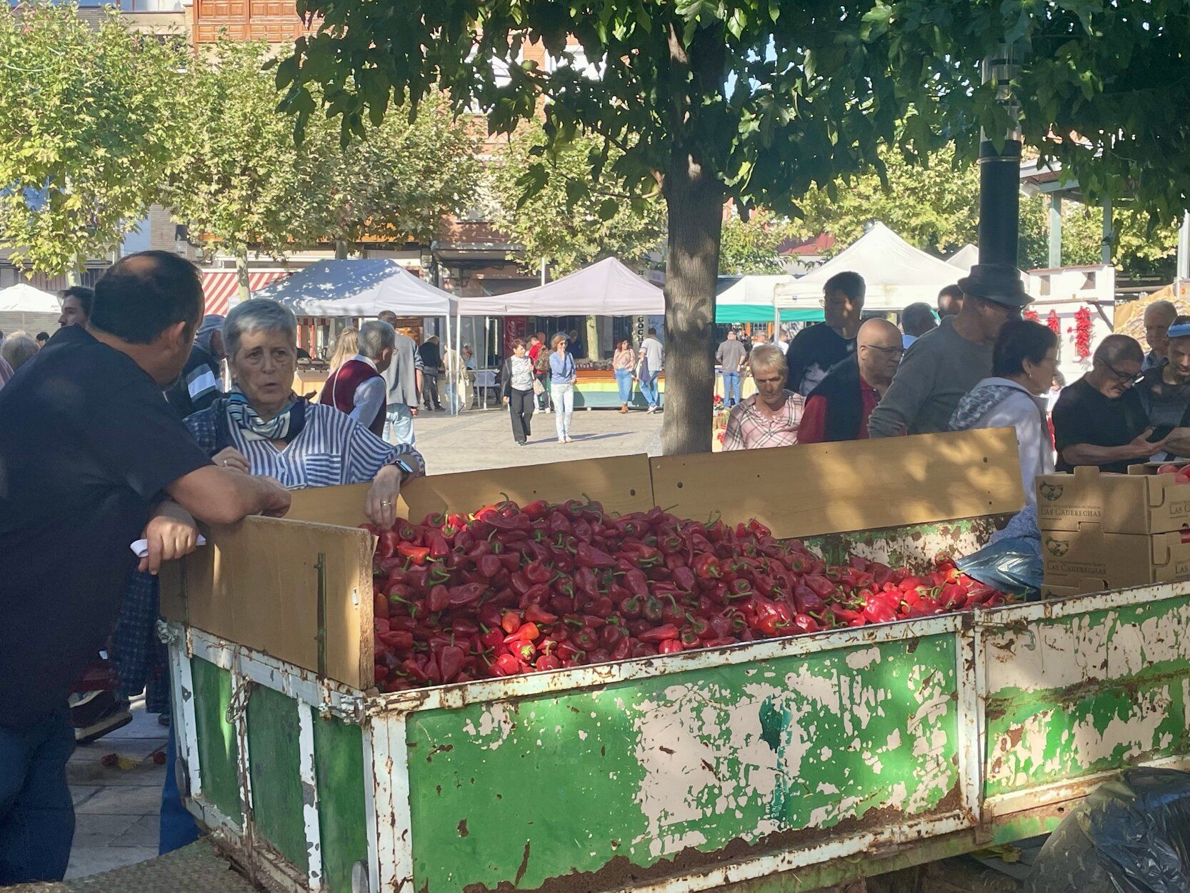 Fotos de las jornadas de exaltación del pimiento del piquillo de Lodosa