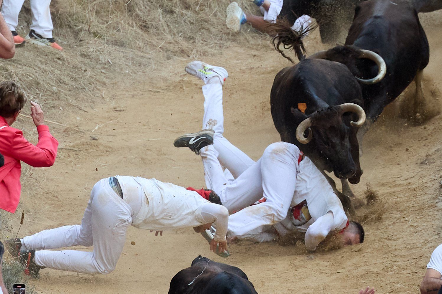 Fotos del tercer encierro del Pilón de Falces 2025