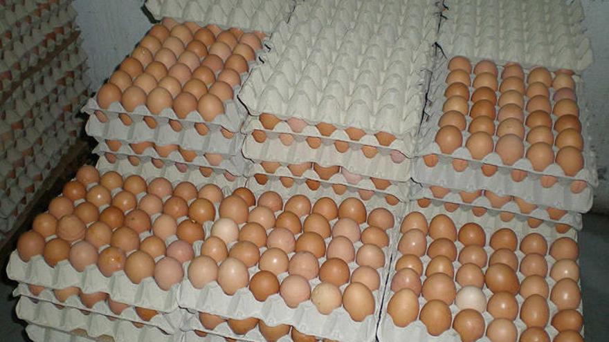 Huevos de la empresa Avícola Navarra.