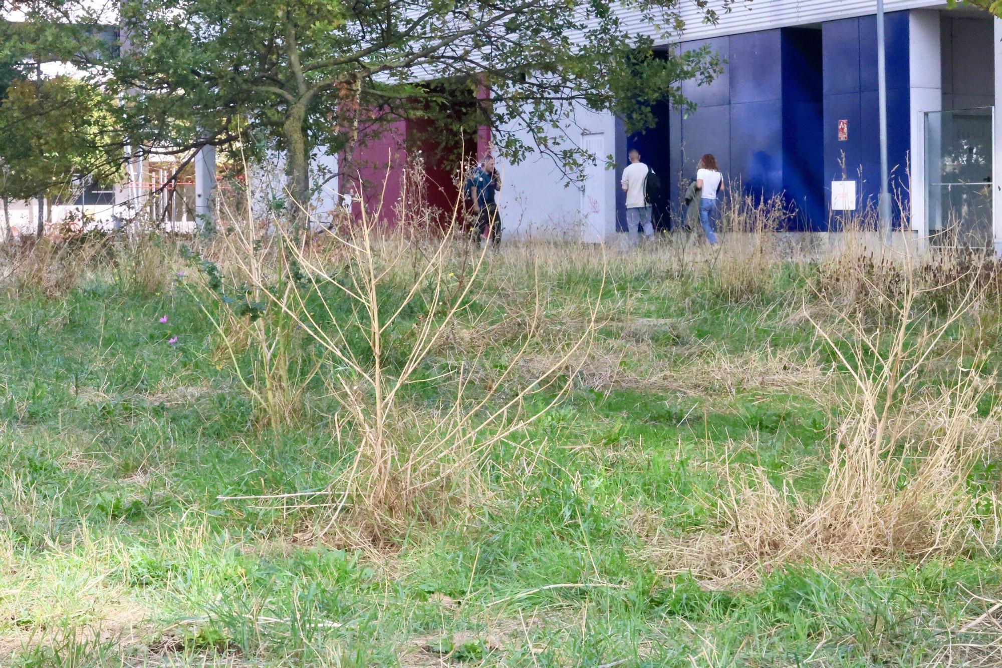 En imágenes: Vitoria-Gasteiz se prepara para adecentar el verde de la ciudad