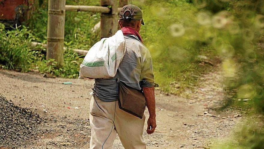Quindío: un destino con aroma a café
