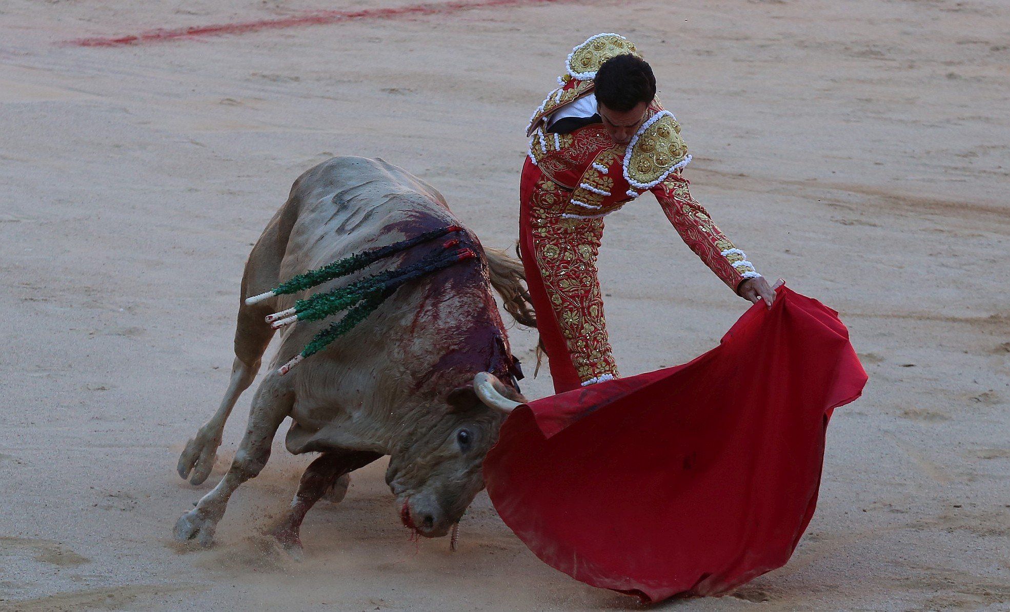 Fotos de la corrida de toros del día 9.