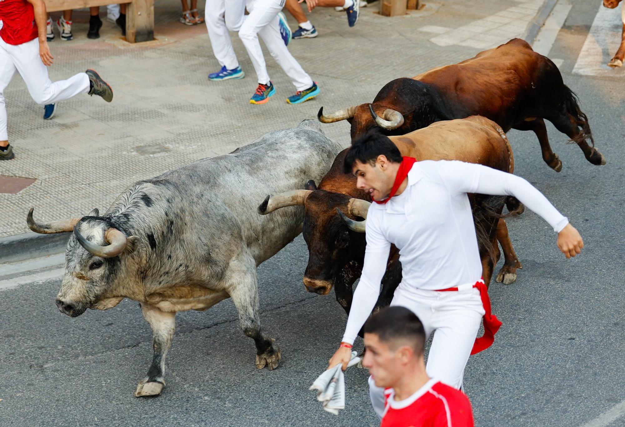 Fotos del tercer encierro de fiestas de Tafalla 2025