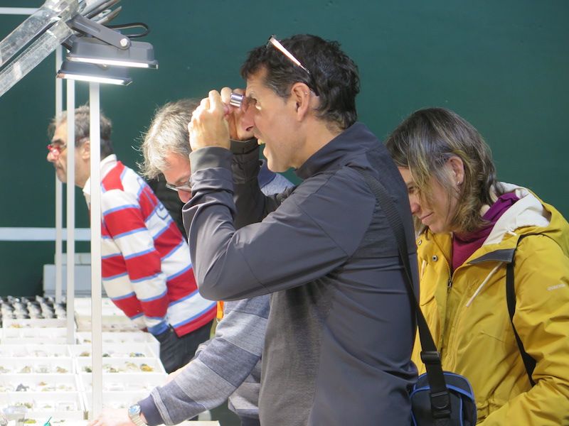 Los minerales, los fósiles y los dinosaurios toman Urretxu