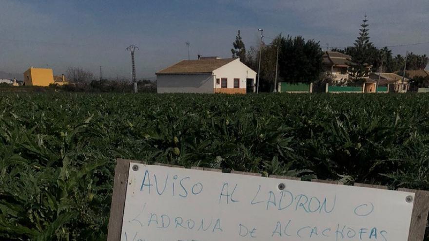 Le roban alcachofas de la huerta y el aviso que pone que da miedo