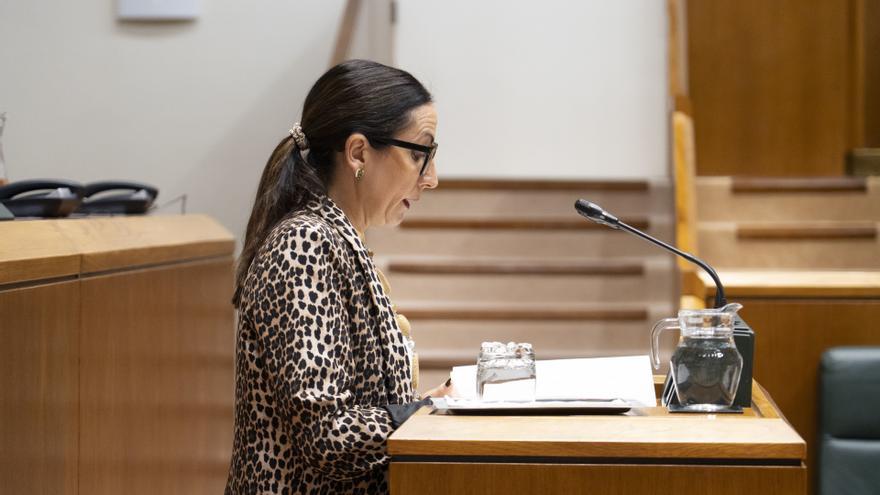 Pedrosa llama a la &quot;implicación&quot; frente a la segregación educativa