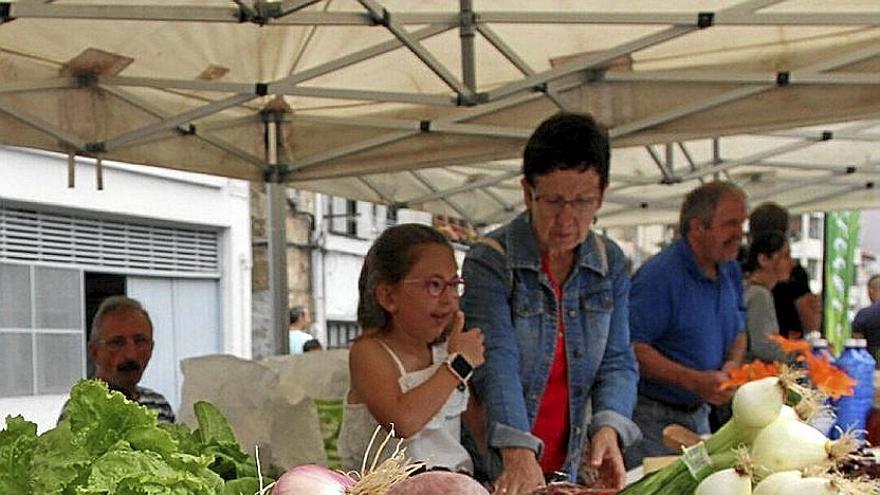 Puestos de baserritarras de Elgoibar en la última feria de Trinidades.