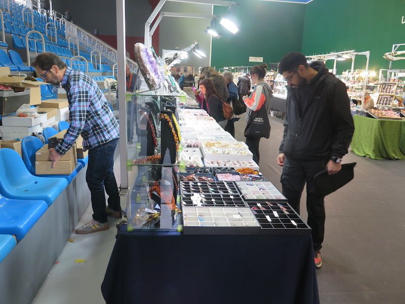 Los minerales, los fósiles y los dinosaurios toman Urretxu