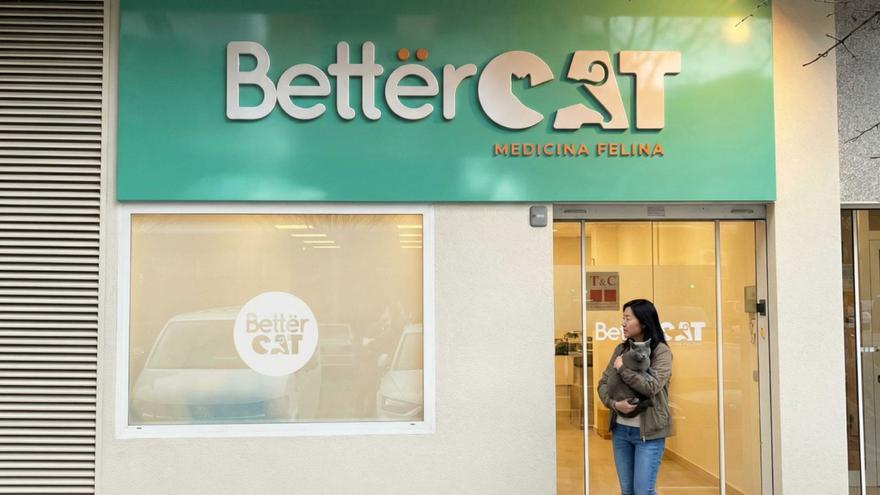 BetterCat inaugura este viernes en Pamplona la primera clínica veterinaria exclusiva para gatos