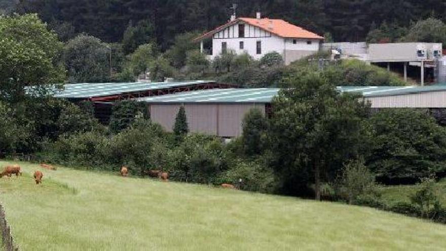 Instalaciones de la granja dedicada a la cría de visones ubicada en el barrio mutrikuarra de Olatz.