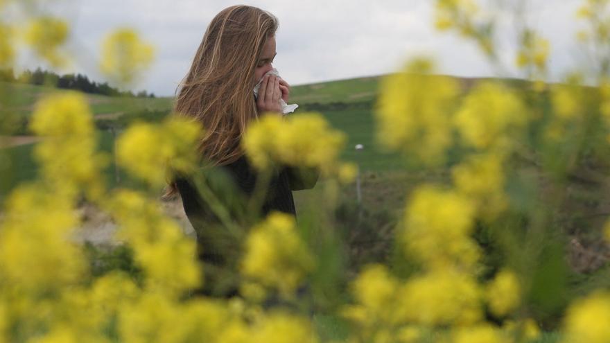 "Intensa y larga", así será la temporada de polen en Navarra para las 100.000 personas con alergia