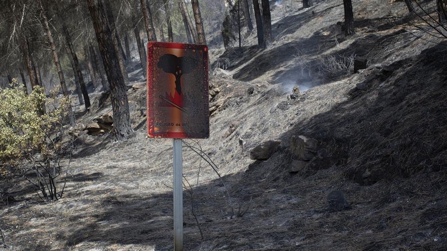 Navarra contempla la Preemergencia que no activó el sábado como medida más eficaz ante riesgo de incendios