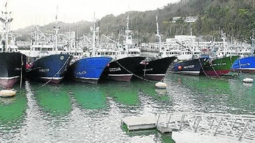 La UE quiere reducir la pesca de rape y gallo en el Cantábrico