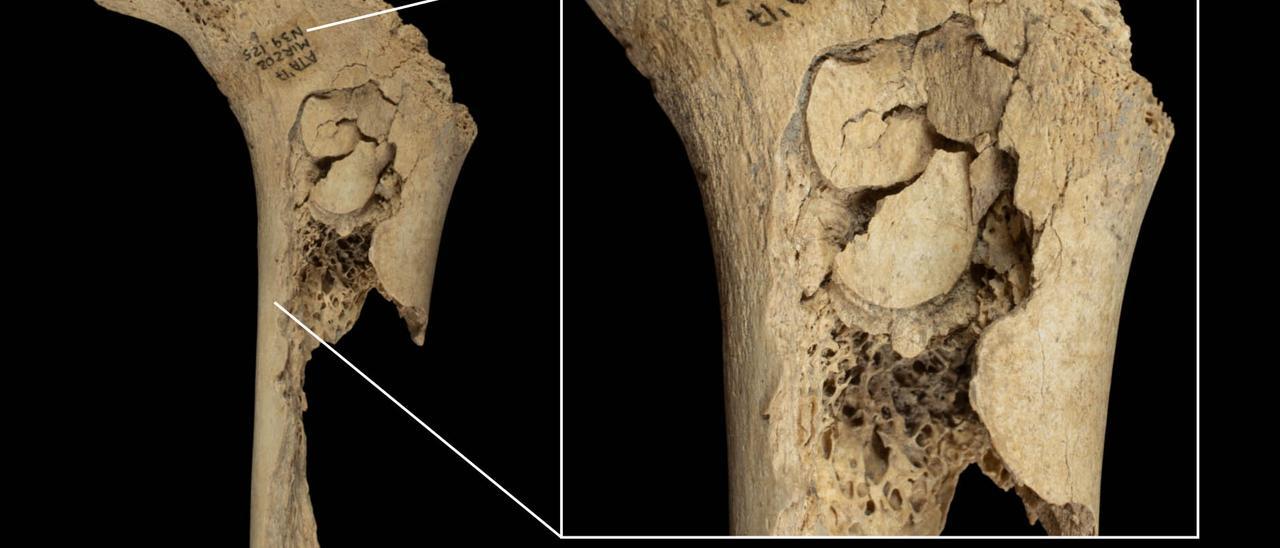 Descubierto un episodio de canibalismo durante el Neolítico final en la cueva de El Mirador en Atapuerca