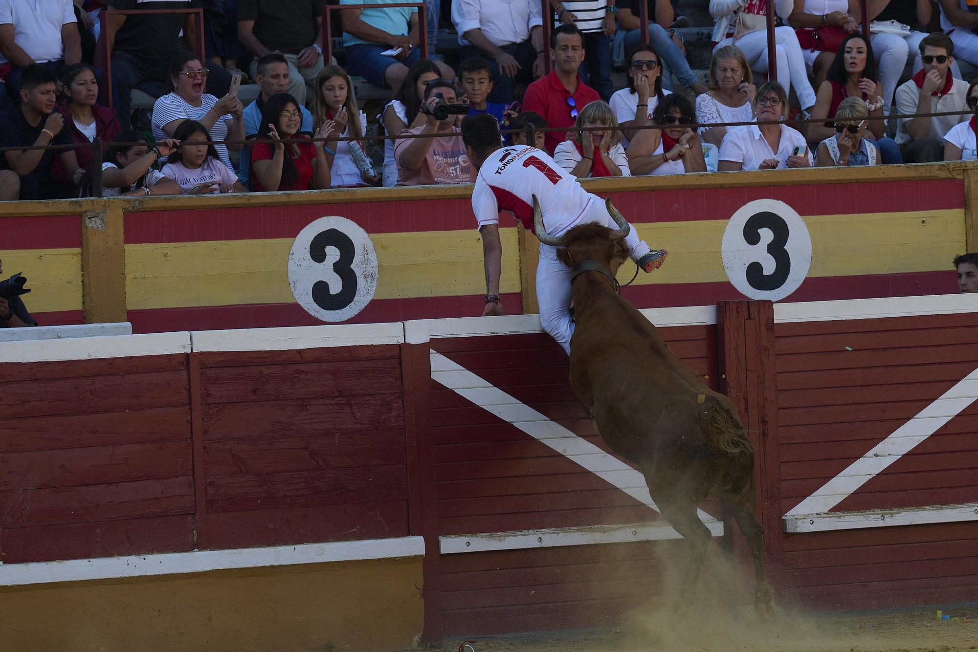 Concurso de recortadores con anillas
