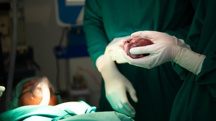 El sistema de trasplantes, nueva víctima de una campaña de desinformación y bulos