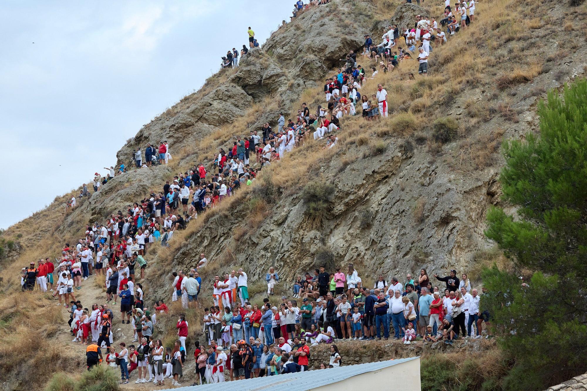 Fotos del tercer encierro del Pilón de Falces 2025