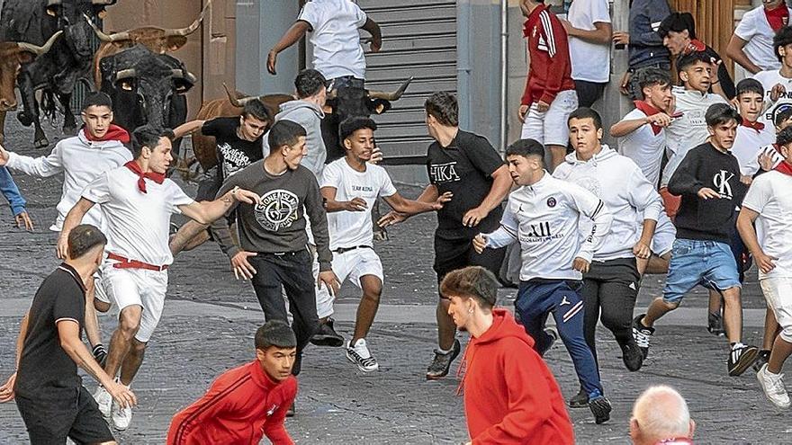 Cuatro traslados en los encierros del fin de semana en Estella-Lizarra