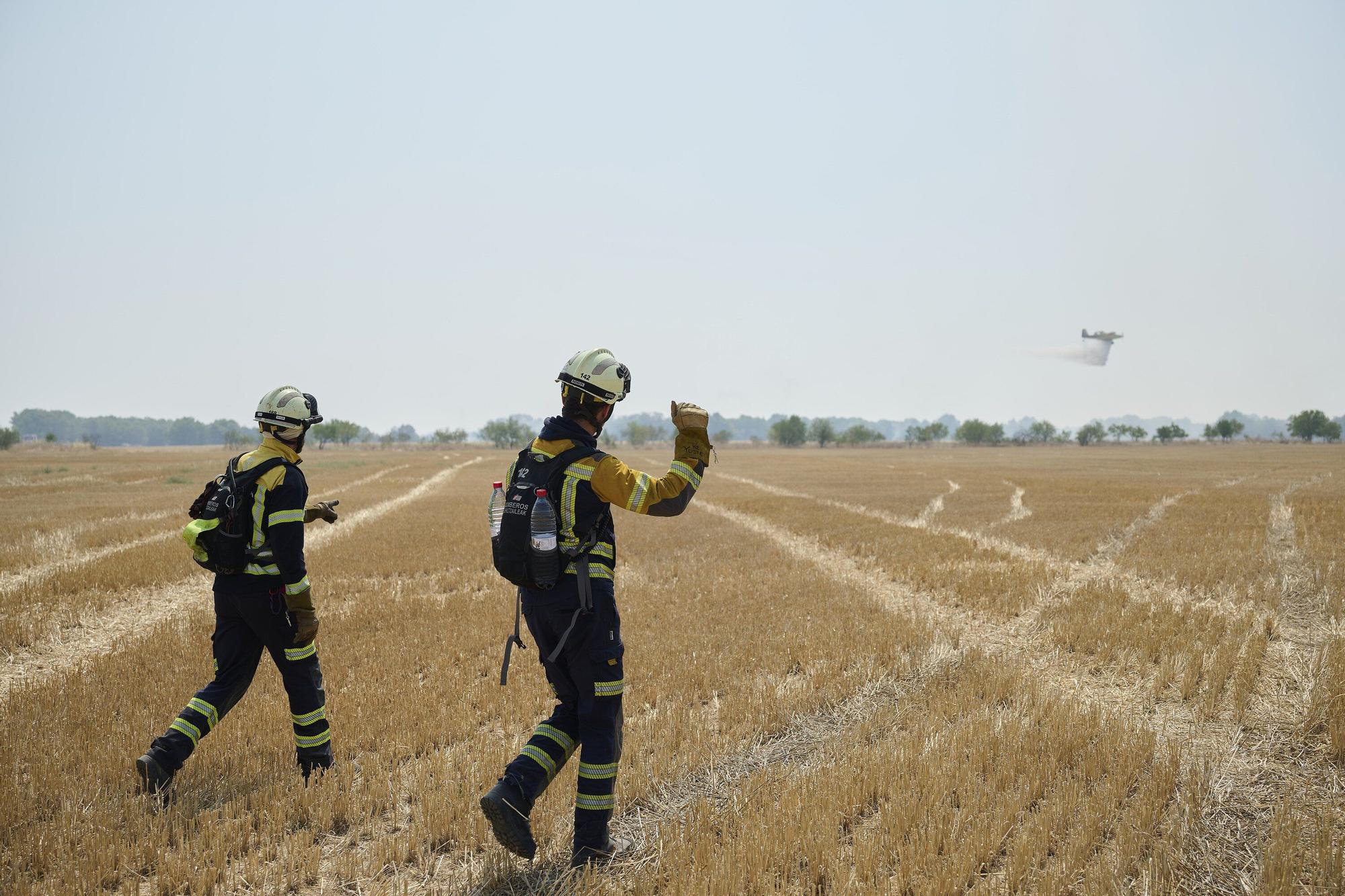 Fotos del incendio forestal cerca de Carcastillo