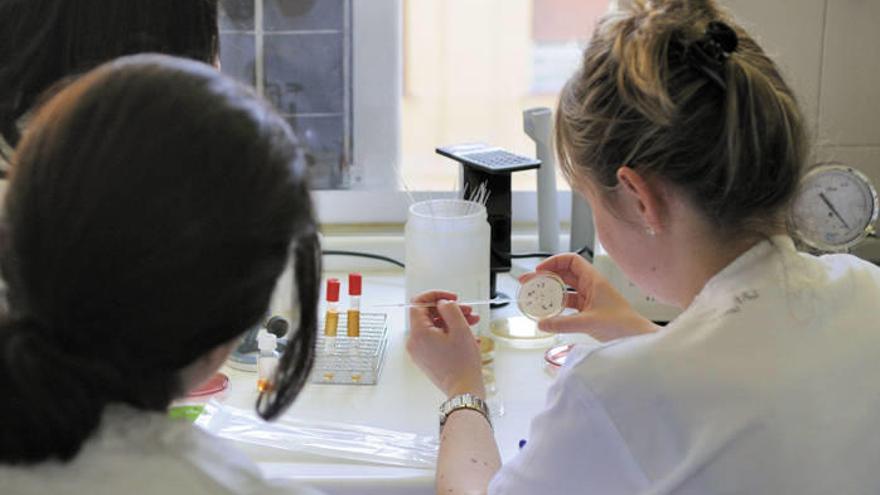 El 66% de las personas involucradas en proyectos de investigación de Osakidetza son mujeres