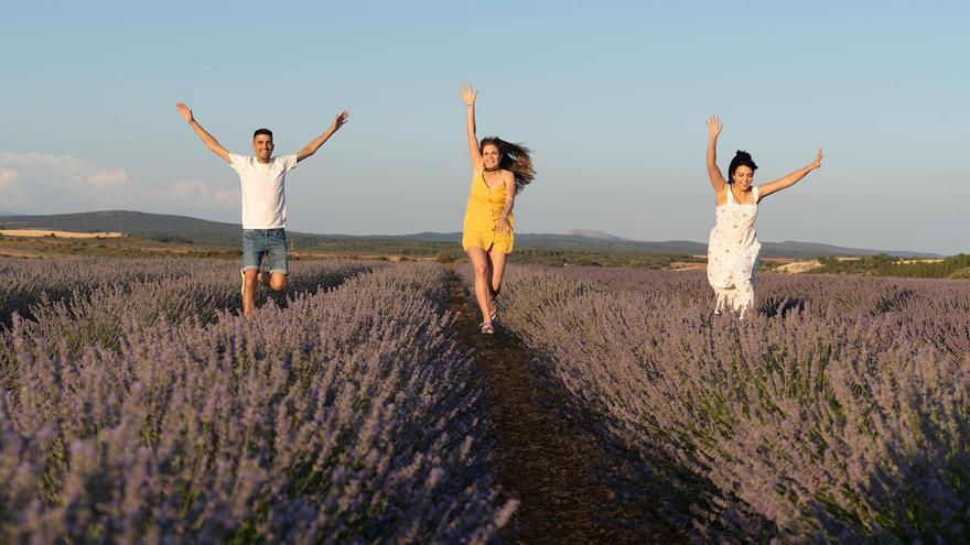 Ribera del Duero, un paisaje imposible de embotellar