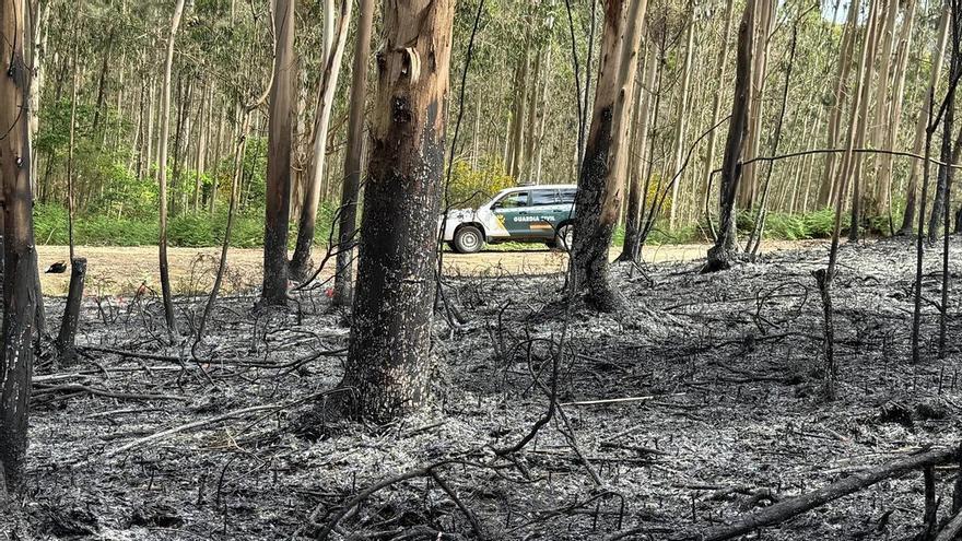 Investigado el presunto autor de un incendio forestal en Lousame (A Coruña)