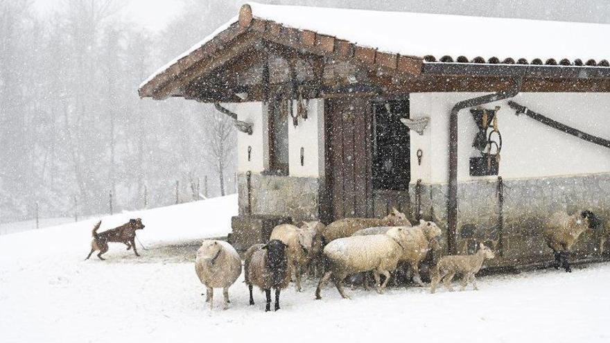 La nieve deja bellas estampas en Gipuzkoa el Día de Reyes