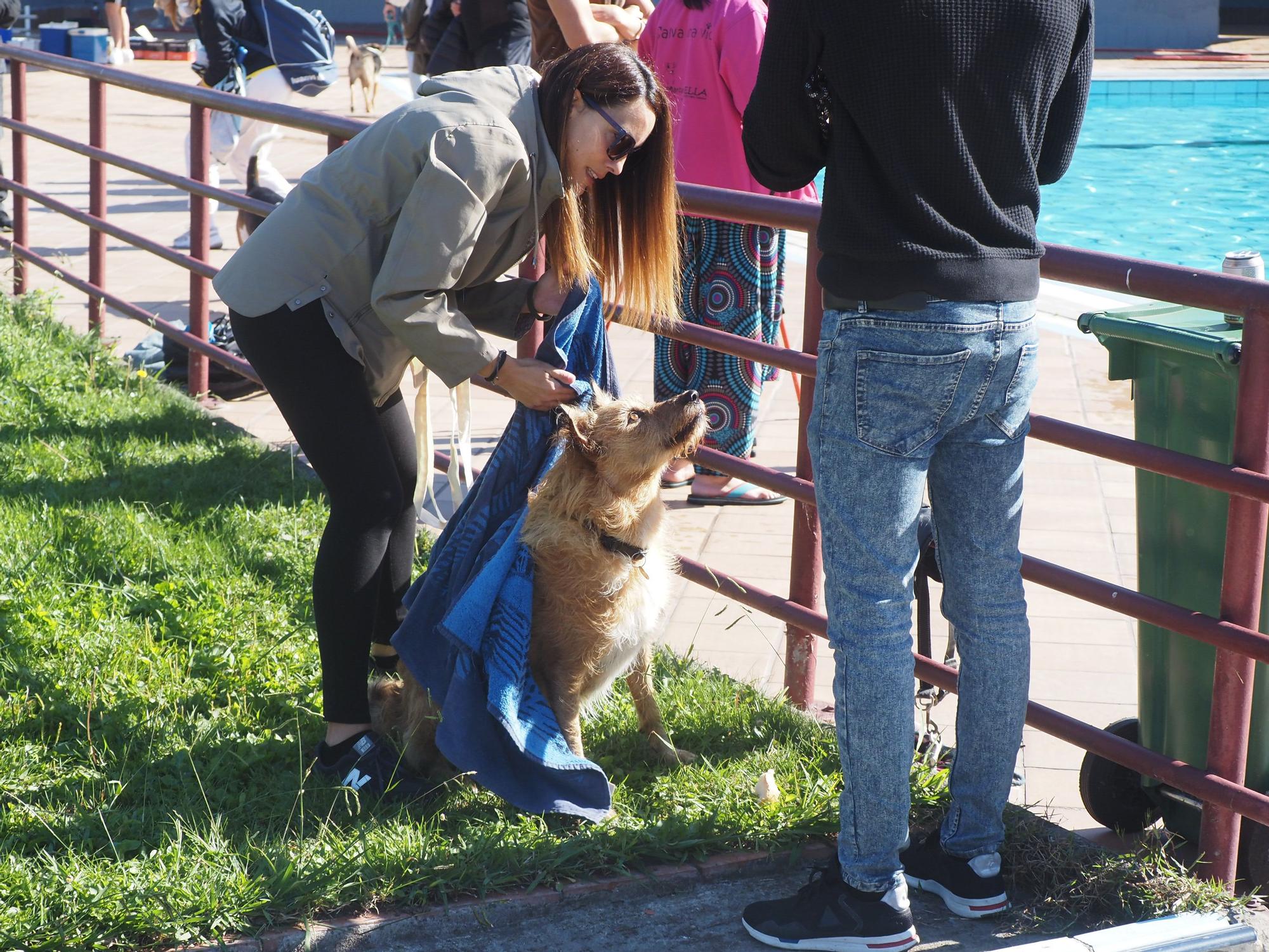Las piscinas de Eibar han sido coto privado para los perros