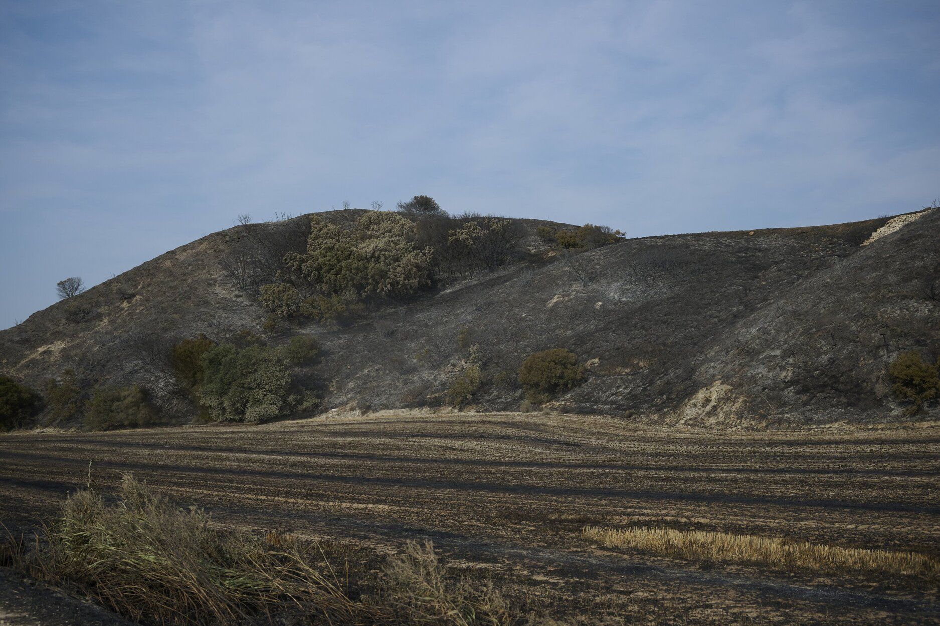 Imágenes de la zona afectada por el incendio en Enériz