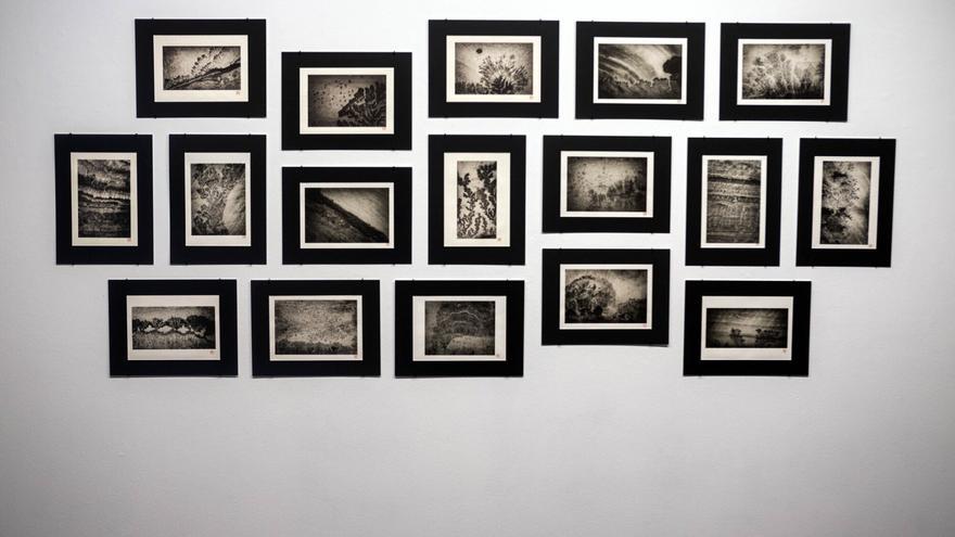 Qué hacer y qué ver en Navarra y en Pamplona. Agenda cultural