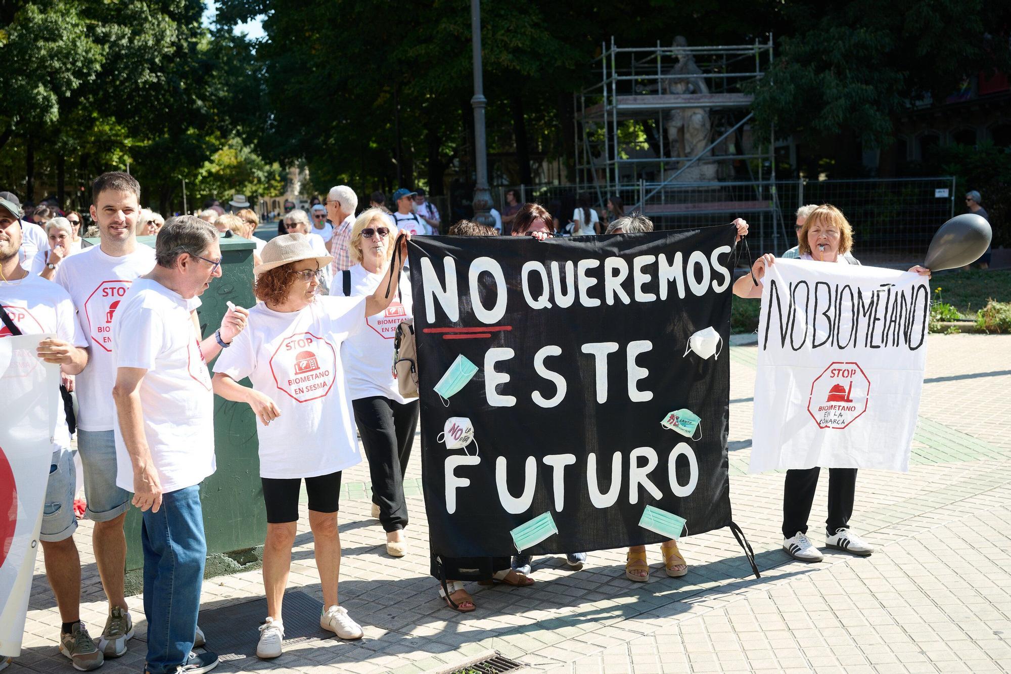 Concentración frente al Parlamento contra la central de biometano de Sesma