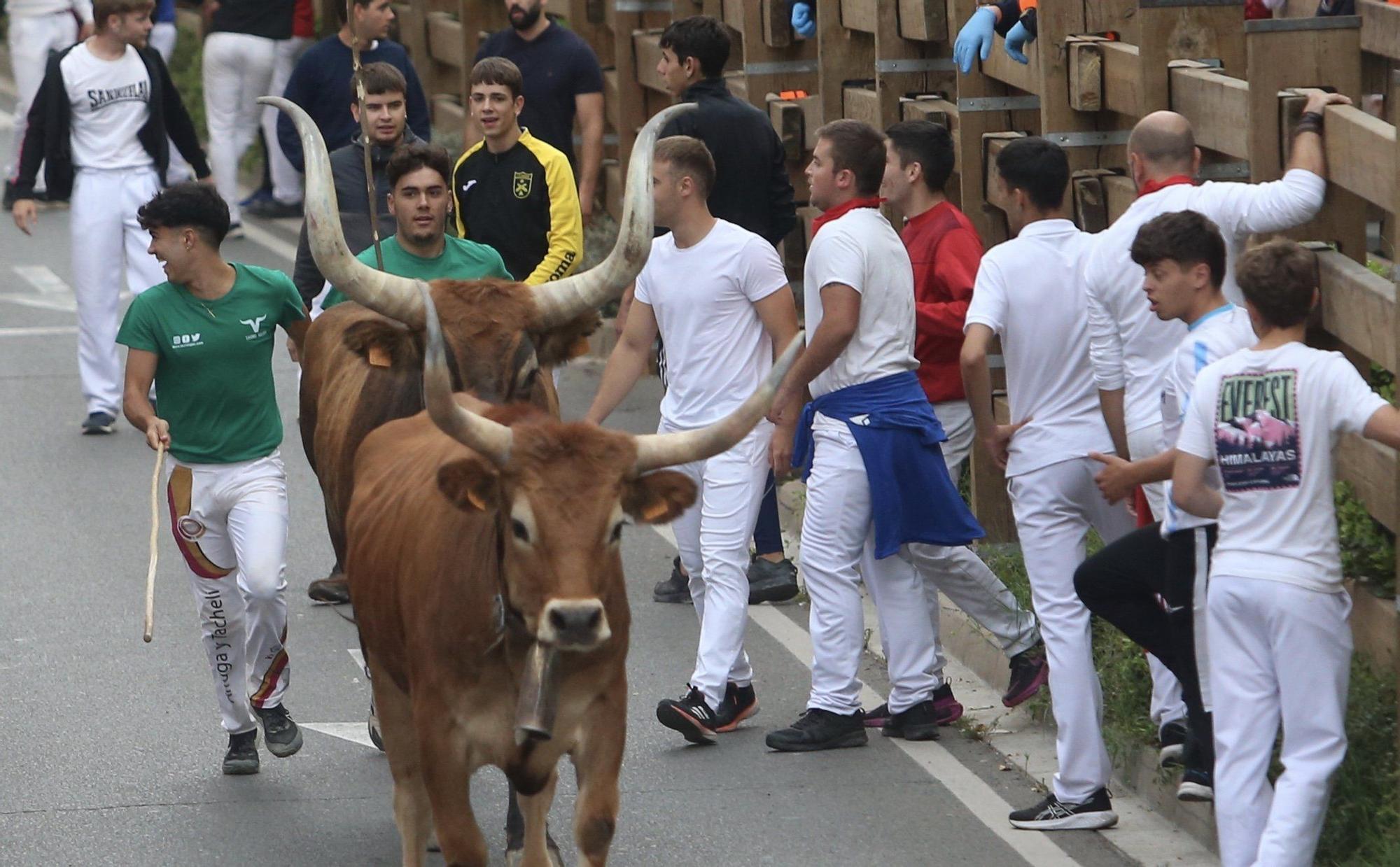 Fotos del sexto y último encierro de las fiestas de Tudela 2025