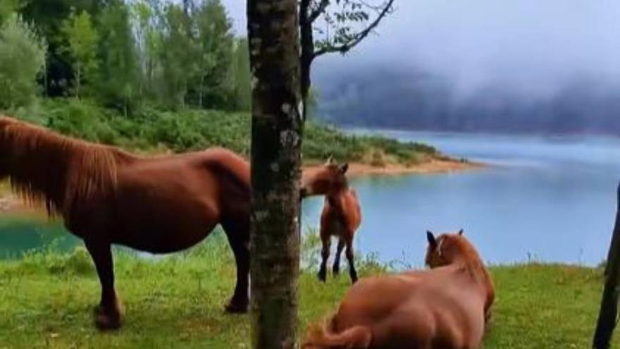 Las cinco rutas guipuzcoanas favoritas de este popular influencer