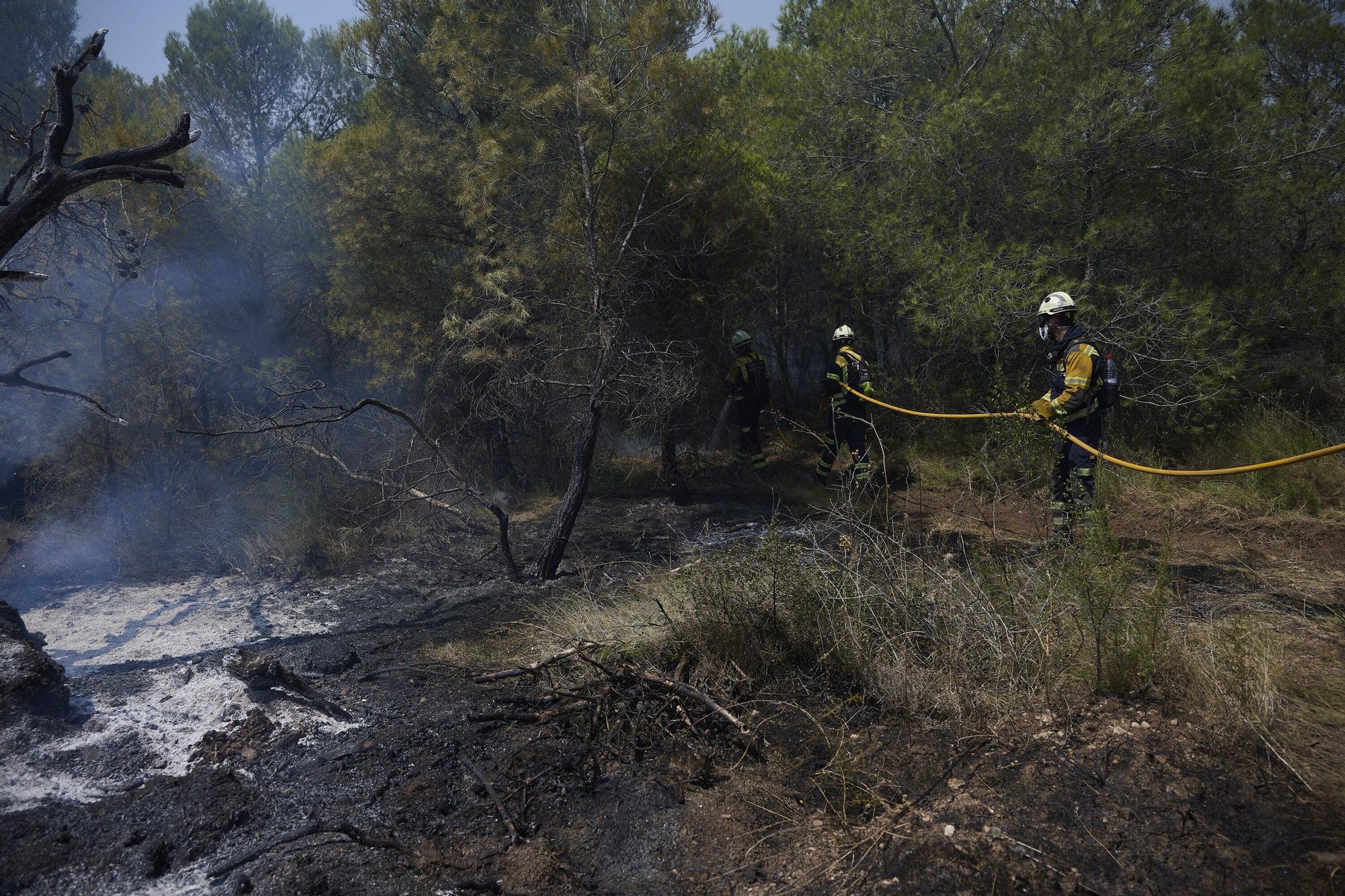 Fotos del incendio forestal cerca de Carcastillo