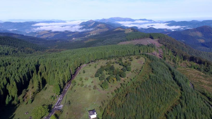 Bizkaia cuenta con  4,1 millones de euros para mejorar sus montes