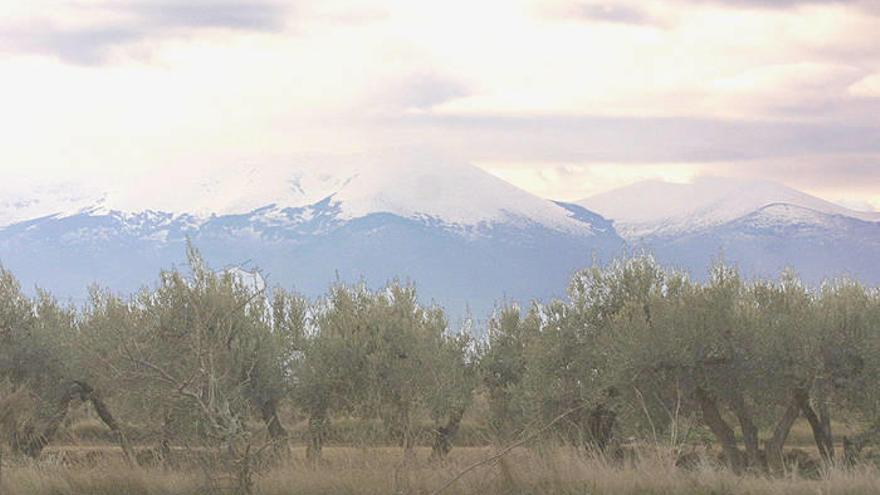 Vista del Moncayo nevado