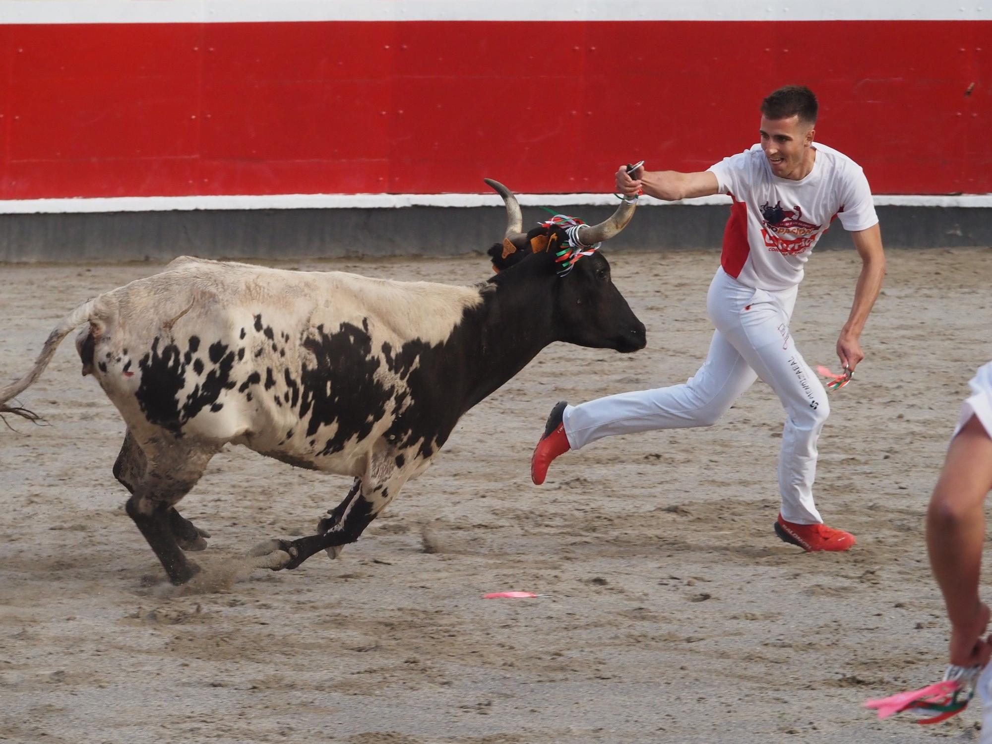 El extremeño Israel Pérez 'Ruso' se estrena con victoria en el Campeonato de Recortadores de Azpeitia