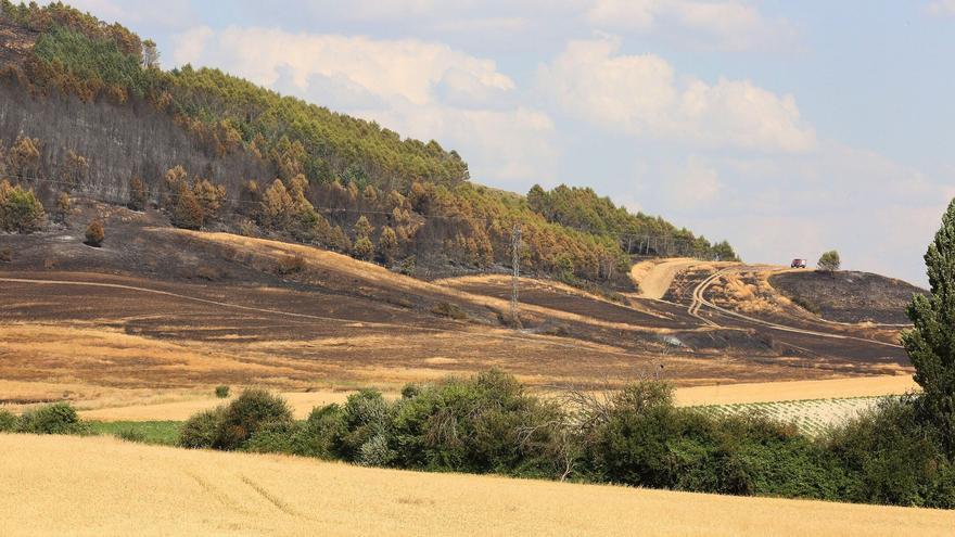 Fotos de la zona afectada por el incendio entre Ororbia y Gazolaz del 15 de junio