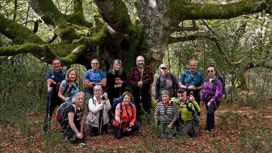 Más de 1.700 rutas y 21.000 recursos para explorar Navarra desde el móvil