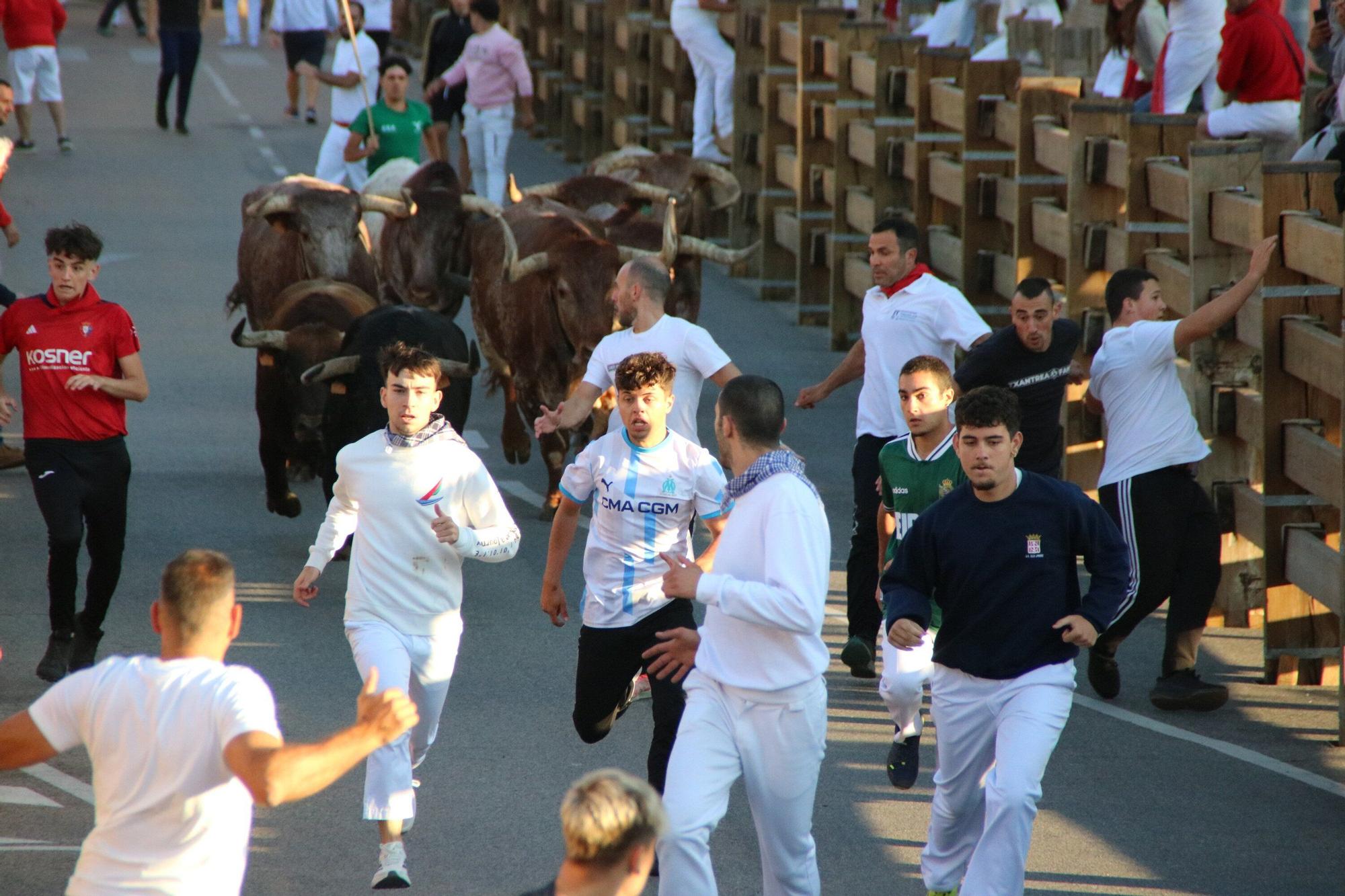Fotos del quinto encierro de las fiestas de Tudela 2025