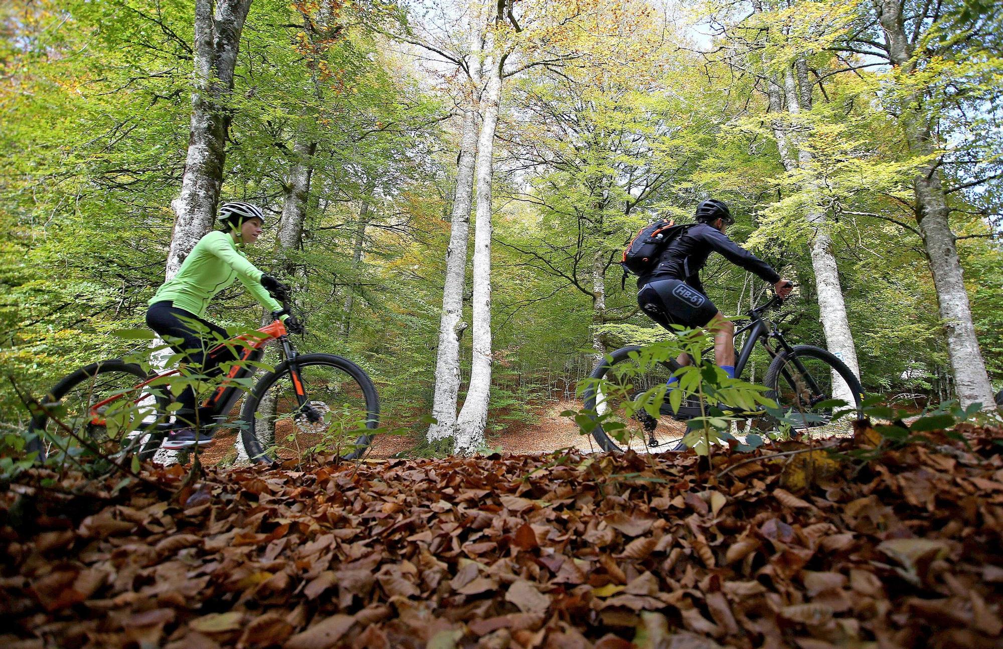 Fotos del calendario 2026 de DIARIO DE NOTICIAS