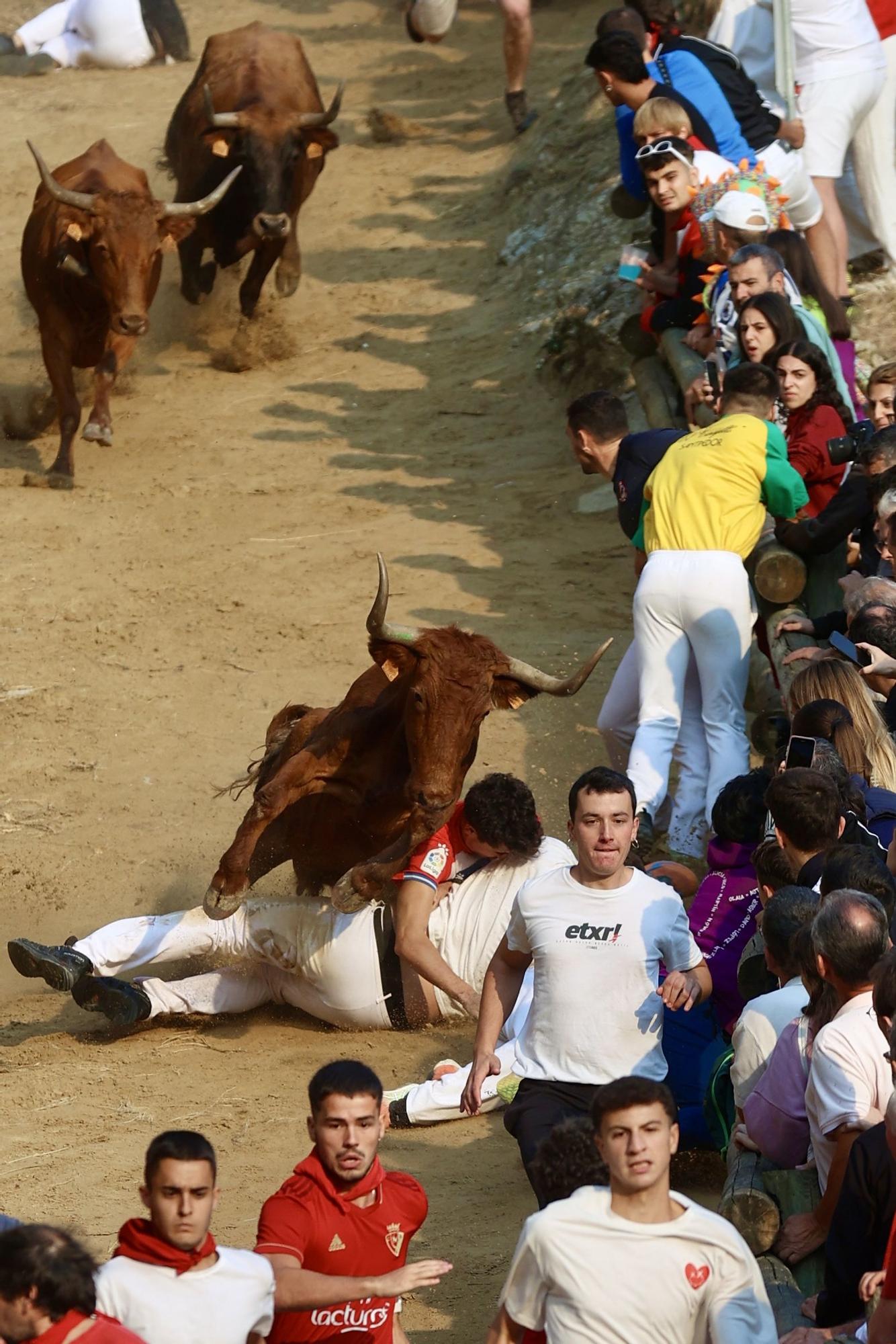 Fotos del cuarto encierro del Pilón de Falces 2025