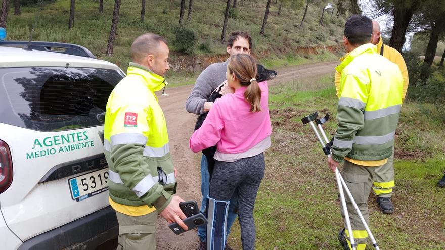 Boro, el perro desaparecido en el accidente de Adamuz, ya está en casa