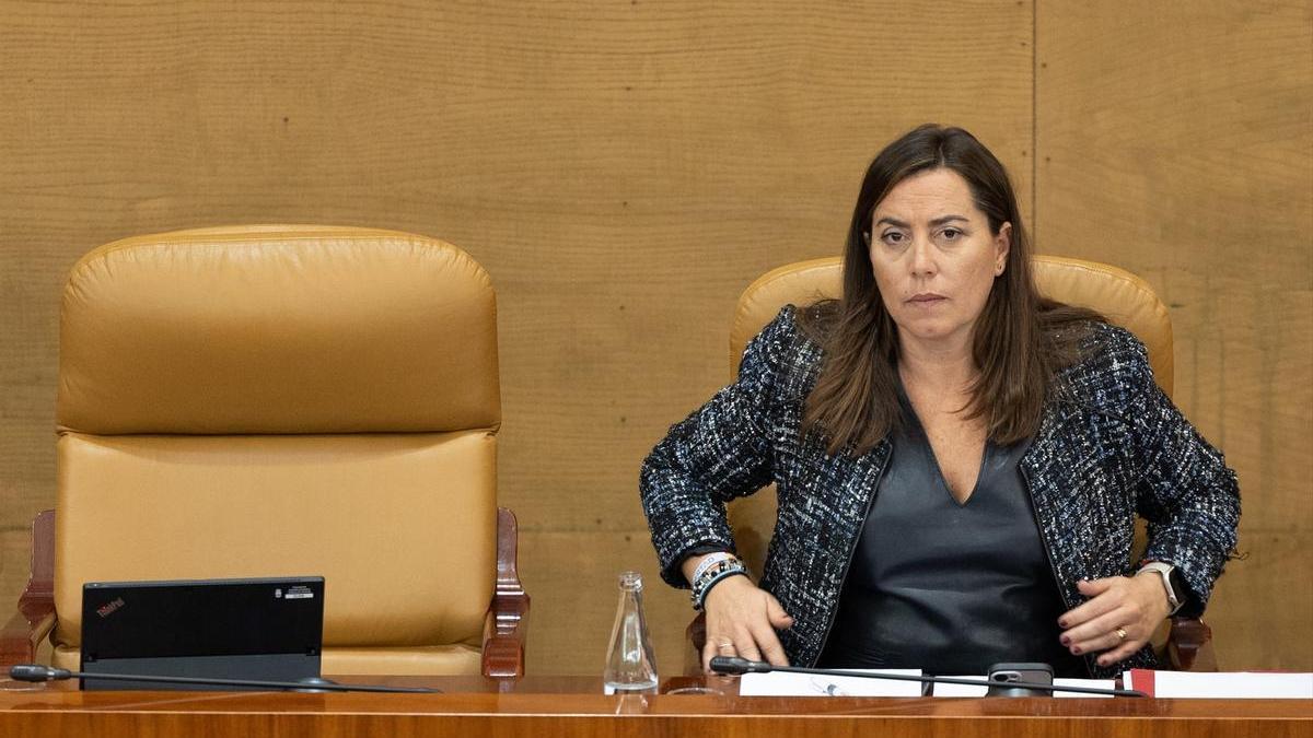 La vicesecretaria de Organización regional del PP y vicepresidenta de la Asamblea de Madrid, Ana Millán, durante un pleno.